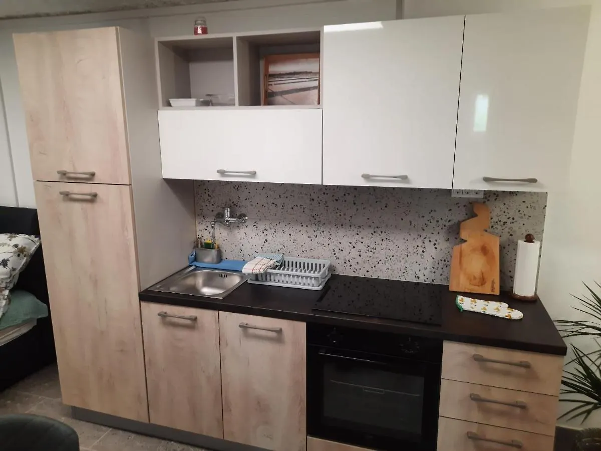 Studio Primani Secovlje Slovenia