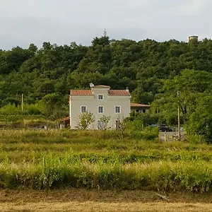 Flora Apartman